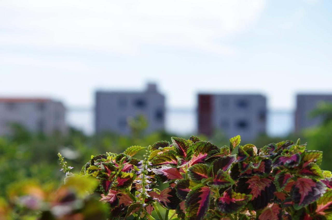 Apartment Nada ヴィル エクステリア 写真